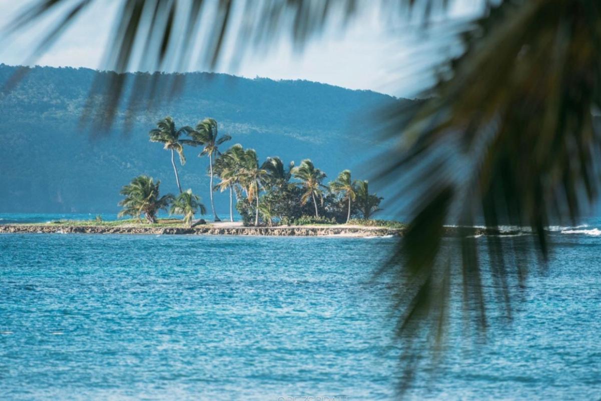 El Monte Azul Bed & Breakfast Las Galeras Ngoại thất bức ảnh